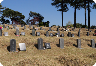 매장묘지 이미지 3