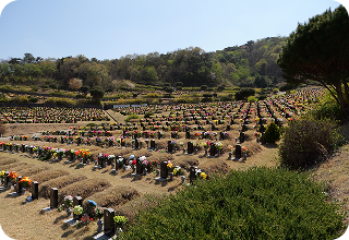 매장묘지 이미지 4