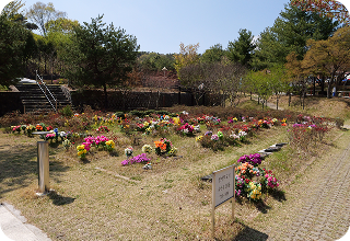 자연장 이미지 2