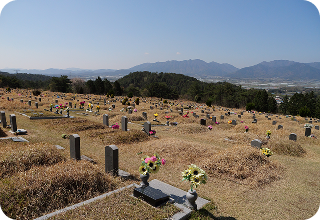 자연장 이미지 3