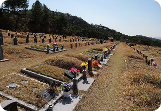 자연장 이미지 4