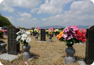 평장분묘 이미지 4